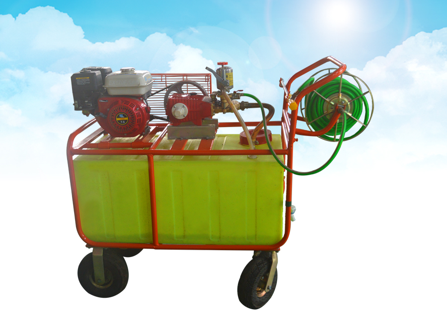 1486546110365092.jpg 1476061164506661.jpg